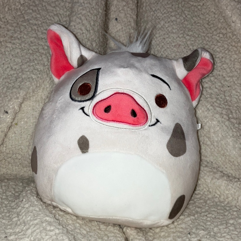 Pua Moana  Pig Squishmallows